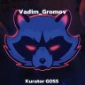 Vadim_Gromov